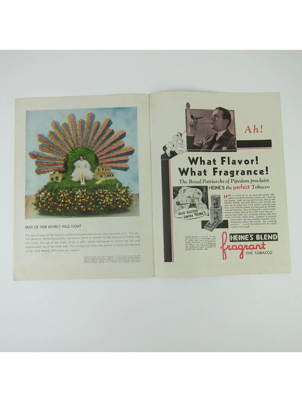 Pasadena Tournament Of Roses Magazine California Golden Jubilee 1939 Vintage
